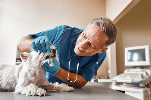 Best Emergency Tooth Extraction in Morehead, KY